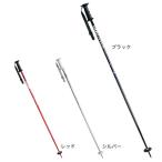 ki The ki(KIZAKI)( мужской, женский ) лыжи paul (pole) sla ROME KPBB-6000