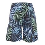 la стойка (RUSTY)( Kids ) Junior купальный костюм морская вода брюки Surf трусы общий рисунок 964422LEF