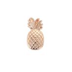 クロックス(crocs)(メンズ、レディース、キッズ)ジビッツチャーム Gold Pineapple 10011124