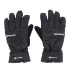  Dakine (DAKINE)( мужской ) перчатка лыжи сноуборд смартфон соответствует Gore-Tex SATURN. пальцев перчатка BE237730 BLK