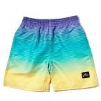 la стойка (RUSTY)( Kids ) boys градация трусы 963404 ROY