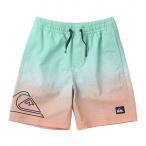  Quick Silver (Quiksilver)( Kids ) Kids NEW WAVE VOLLEY YOUTH 16 спортивные шорты 24SUKBS242021ORG