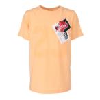 ジョーダン(JORDAN)(キッズ)ジュニア バスケットボールウェア AIR JORDAN WITH TAGS 半袖Tシャツ 95D372-N5U