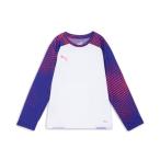  Puma (PUMA)( Kids ) футбол одежда Junior INDIVIDUAL FTBL Pro рубашка с длинным рукавом 65975904