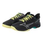 ミズノ（MIZUNO）（メンズ）テニスシューズ クレー/砂入り人工芝コート用 ウエーブエクシード5 SW OC 61GB231446