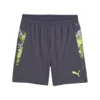  Puma (PUMA)( мужской ) футбол одежда INDIVIDUALCUP шорты 66020508