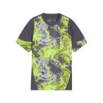  Puma (PUMA)( Kids ) футбол одежда Junior INDIVIDUALCUP рубашка с коротким рукавом 66019708