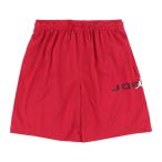 ジョーダン(JORDAN)(キッズ)ジュニア ベースライン メッシュショーツ 95D667-R78