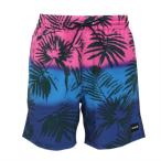 ショッピングサーフパンツ ハーレー（HURLEY）（メンズ）キャノンボール ボレー 17 サーフパンツ 水着 MBS0011890-467