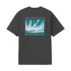  The * North * лицо (THE NORTH FACE)( мужской, женский ) короткий рукав Great гонки футболка NT82531 AG