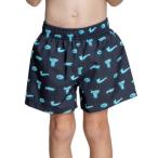  Nike (NIKE)( Kids )SS26to гонг - boys bolle шорты 1991130-0009