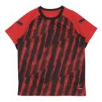  Puma (PUMA)( Kids ) футбол одежда Junior INDIVILIGA графика рубашка с коротким рукавом 66096701