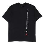  Jordan (JORDAN)( мужской ) баскетбол одежда dry Fit короткий рукав футболка IF0857-010