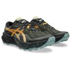  Asics (ASICS)( мужской ) бег обувь tore Ran обувь тигр b-ko14 бежевый черный 1011C166.200