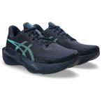 Asics 1011C243