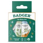 バジャーリップクリームセットグリーンボックス、4個入りLip Balm Set Green Box, 4 Lip Balm