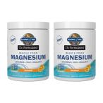 dokta- Formula tedo отверстие капот Magne sium пудра orange,419.5 g 2 шт. комплект Dr. Formulated Whole Food Magnesium Powder Orange, 14.8 oz