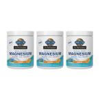 dokta- Formula tedo отверстие капот Magne sium пудра orange,419.5 g 3 шт. комплект Dr. Formulated Whole Food Magnesium Powder Orange, 14.8 oz