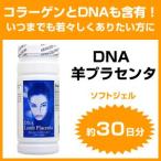 ショッピングプラセンタ DNA 羊プラセンタ ラムプラセンタ  100粒