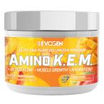 アミノ K.E.M エリート EAA パンプ  ピーチマンゴー 483g  EVOGEN エボジェン EAA 必須アミノ酸 BCAA アミノ酸サプリ トレーニングサプリ