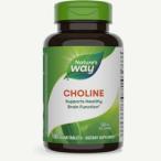 Nature's Way( nature z way )Choline 500mg 100 шарик Colin витамин B здоровое питание 