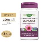 ネイチャーズウェイ エキナセア コンプレックス 900mg(2粒あたり) 100粒 サプリ Nature's Way