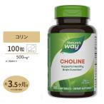 [ купон есть ] nature z way Colin 500mg 100 шарик Nature's Way Choline 500mg supplement витамин B группа диета 