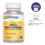 so RaRe - mega мульти- минерал 100 шарик Capsule Solaray Mega Multi Mineral Iron-Free дополнение минерал железо не использование кальций Magne sium