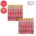 Yahoo! Yahoo!ショッピング(ヤフー ショッピング)【クーポンあり】コルゲート 歯ブラシ 大人用 普通毛 白い歯 12本セット Colgate Premier Classic Clean Medium Toothbrush （Card of 12）