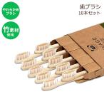 ビバゴー バンブー 歯ブラシ 大人用 ソフト エコ 10本セット VIVAGO Bamboo Toothbrushes 10 Pack BPA Free Soft Bristles Toothbrushe