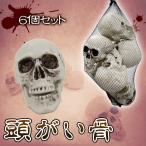 Uniton 頭蓋骨6個入り