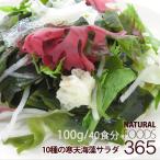 寒天海藻サラダ 100g(40食分) 10種類 海藻 わかめ 赤とさか 青とさか 紅杉のり 緑杉のり 茎わかめ 花桜藻(赤) 花桜藻(青) 白きくらげ 寒天