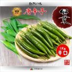 時価商品　新鮮 生青唐辛子　辛口　1Kg　辛さは時期によって異なります。選べませんのでご了承お願い致します。　韓国野菜 焼肉素材 野菜類