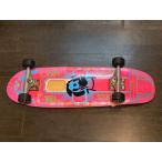 SECTOR9 セクターナイン スケートボード コンプリート/JOEL TUDOR ジョエルチューダー