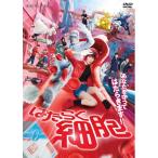 ▼DVD/邦画/はたらく細胞 (通常版)