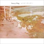 CD/Saucy Dog/レイジーサンデー