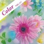 【取寄商品】CD/門田しほり/Color