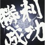 【取寄商品】CD/VIC:CESS/勝利成功