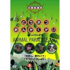 【取寄商品】DVD/キッズ/どうぶつおんがくかい あに★パラ★ずうANIMAL PARADISE ZOO 「わたし きれい?」「ママといっしょに」