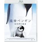 【取寄商品】BD/洋画/皇帝ペンギン ただいま スペシャル・プライス(Blu-ray)