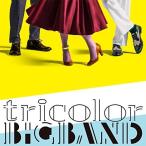 【取寄商品】CD/tricolor/tricolor BIGBAND (紙ジャケット)