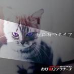 【取寄商品】CD/わけありブラザーズ/根に持つタイプ