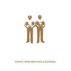 BD/キリンジ/KIRINJI TOUR