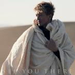 CD/�ؑ����/SEE YOU THERE (�̎��t) (�ʏ��)�yP�A�b�v