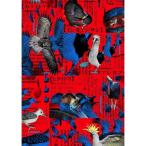 BD/国内TVドラマ/『シナントロープ』Blu-ray Box(Blu-