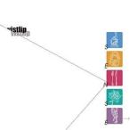 CD/vistlip/SENSE (CD+DVD) (通常vister盤)