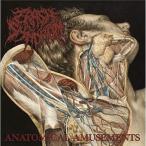 [ посылать за товар ]CD/ авария *sin draw m/Anatomical Amusements