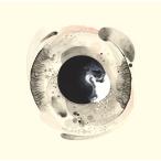 【取寄商品】CD/グレイソン・ギルモア/アザーネス (解説付)