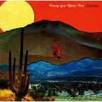 CD/ヤング・ガン・シルヴァー・フォックス/キャニオンズ (解説付)【Pアップ