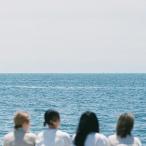 ショッピング宇多田ヒカル CD/ハク。/僕らじゃなきゃダメになって【Pアップ
